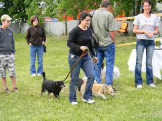 28.5.2011 - Štětský voříšek 2011 III – fotografie 103