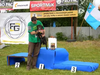 28.5.2011 - Štětský voříšek 2011 III – fotografie 104