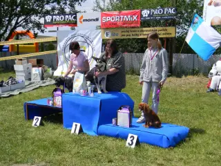 28.5.2011 - Štětský voříšek 2011 III – fotografie 105