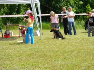 28.5.2011 - Štětský voříšek 2011 III – fotografie 107