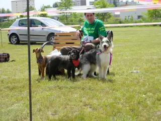 28.5.2011 - Štětský voříšek 2011 III – fotografie 108
