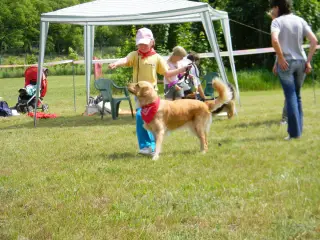 28.5.2011 - Štětský voříšek 2011 III – fotografie 111