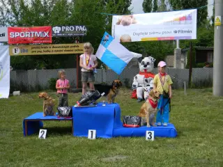 28.5.2011 - Štětský voříšek 2011 III – fotografie 114