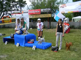 28.5.2011 - Štětský voříšek 2011 III – fotografie 115