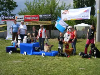 28.5.2011 - Štětský voříšek 2011 III – fotografie 116