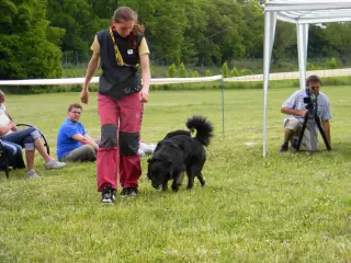28.5.2011 - Štětský voříšek 2011 III – fotografie 120