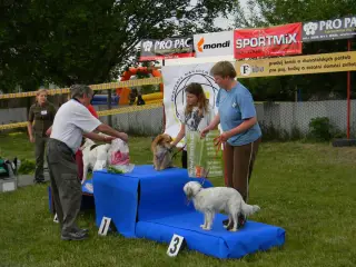 28.5.2011 - Štětský voříšek 2011 III – fotografie 122