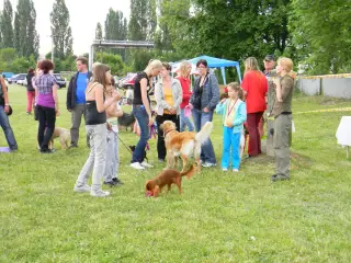 28.5.2011 - Štětský voříšek 2011 III – fotografie 123