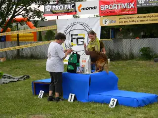 28.5.2011 - Štětský voříšek 2011 III – fotografie 126