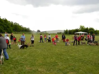 28.5.2011 - Štětský voříšek 2011 III – fotografie 128