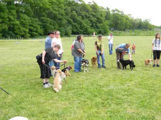 28.5.2011 - Štětský voříšek 2011 III – fotografie 129