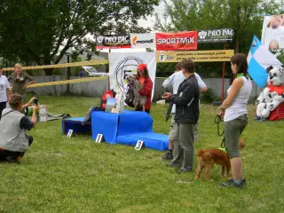 28.5.2011 - Štětský voříšek 2011 III – fotografie 131