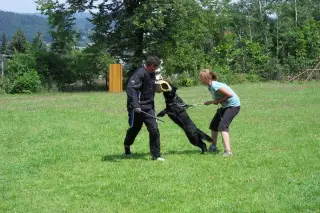 5.7.2011 - Starý Plzenec - výcviková dovolená – fotografie 12