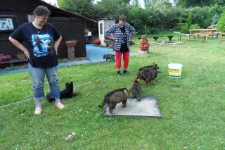 10.7.2011 - štěňata - koupání – fotografie 4