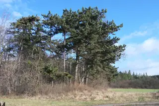 8.1.2012 - jako na jaře – fotografie 2