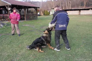 29.1.2012 - výcvik – fotografie 6