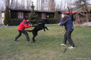 29.1.2012 - výcvik – fotografie 8