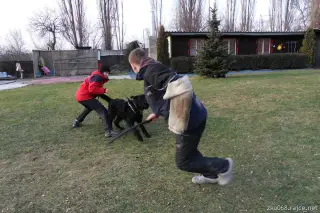 29.1.2012 - výcvik – fotografie 11
