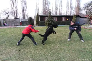 29.1.2012 - výcvik – fotografie 14