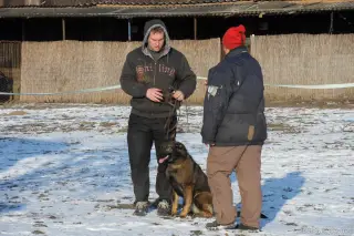 12.2.2012 - nedělní odpoledne – fotografie 5