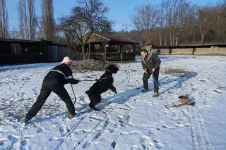 12.2.2012 - nedělní odpoledne – fotografie 18