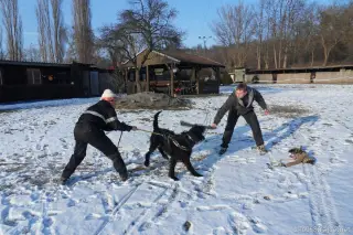 12.2.2012 - nedělní odpoledne – fotografie 19