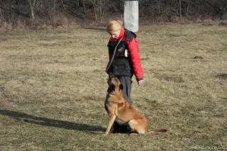 19.2.2012 - výcvik – fotografie 3