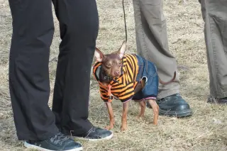 25.2.2012 - výcvik i pohoda – fotografie 4