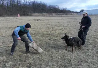 29.2.2012 - poslední únorový den – fotografie 1