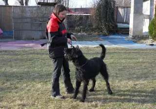 4.3.2012 - nedělní odpoledne – fotografie 4
