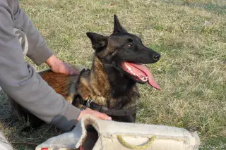 22.3.2012 - výcvik – fotografie 13