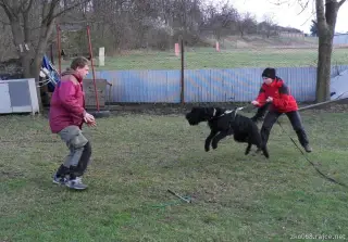 31.3.2012 - odpolední výcvik – fotografie 1