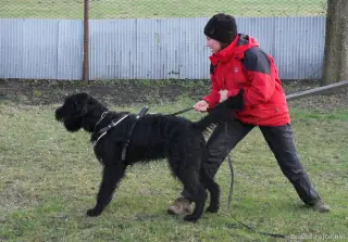 31.3.2012 - odpolední výcvik – fotografie 2