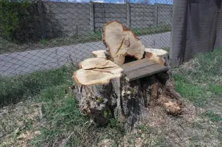 Naše nová lavička :-)