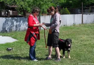 19.5.2012 - sobota :-) – fotografie 3