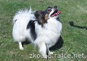 19.5.2012 - sobota :-) – fotografie 10