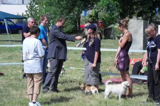 26.5.2012 - Štětský voříšek 2012 a Den dětí s hafany - první fotky – fotografie 24