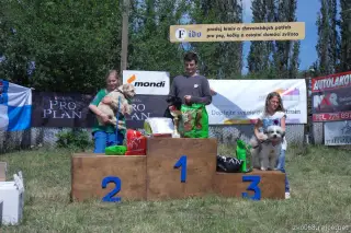 26.5.2012 - Štětský voříšek 2012 a Den dětí s hafany - první fotky – fotografie 32