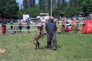 26.5.2012 - Štětský voříšek 2012 a Den dětí s hafany - první fotky – fotografie 39