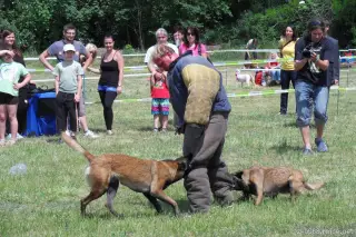 26.5.2012 - Štětský voříšek 2012 a Den dětí s hafany - první fotky – fotografie 45