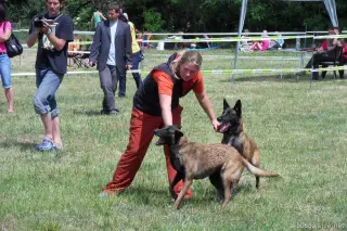 26.5.2012 - Štětský voříšek 2012 a Den dětí s hafany - první fotky – fotografie 46