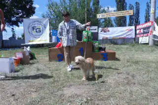 Nejstarší účastník : ŽOFKA - 15 let z Prahy