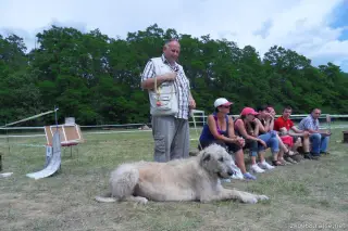 26.5.2012 - Štětský voříšek 2012 a Den dětí s hafany - první fotky – fotografie 73