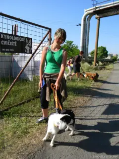 JACKIE kontroluje konkurenci
