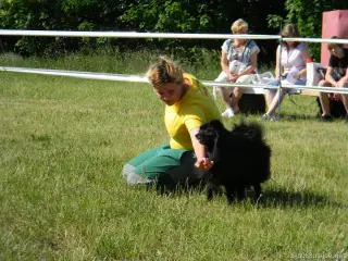 26.5.2012 - Štětský voříšek 2012 - další fotky – fotografie 9