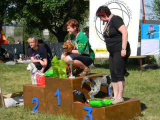 Veteráni:1.DAISY-14 let, 2.FIDO 12,5 roku, 3.MONTY -9 let