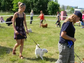 26.5.2012 - Štětský voříšek 2012 - další fotky – fotografie 17