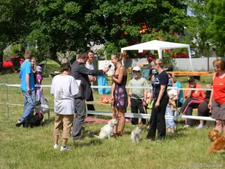 26.5.2012 - Štětský voříšek 2012 - další fotky – fotografie 20
