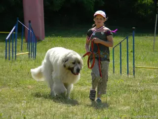 Mazlík a Eliška