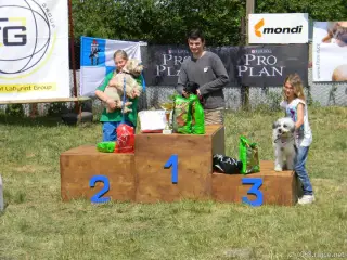 Voříšci-psi do 40 cm:1.FRIGO, 2.KAJETÁN,3.PUFÍK